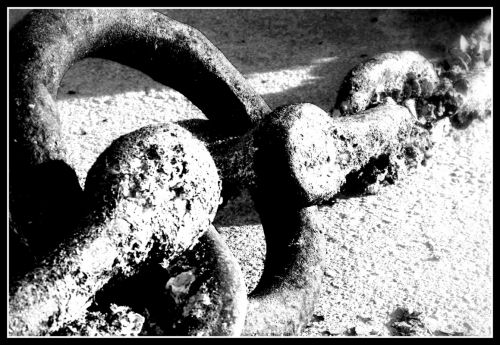 Fotografia de berta zea - Galeria Fotografica: berta zea fotogalera - Foto: Cadenas Al Sol