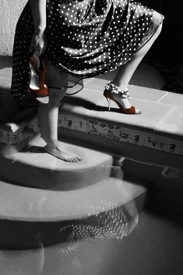 Fotografia de gatopato - Galeria Fotografica: varias - Foto: 