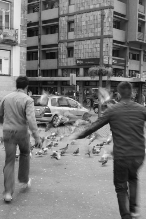 Fotografia de fotorul - Galeria Fotografica: Oporto - Foto: 