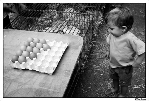 Fotografia de xavi - Galeria Fotografica: Robados - Foto: 