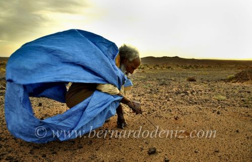 Fotografia de Bernardo De Niz - Galeria Fotografica: Western Sahara forgotten conflict - Foto: 