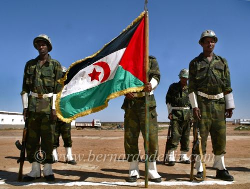 Fotografia de Bernardo De Niz - Galeria Fotografica: Western Sahara forgotten conflict - Foto: Sahara occidental, un conflicto en el olvido.