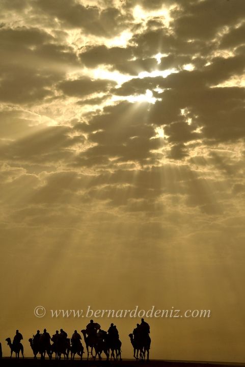 Fotografia de Bernardo De Niz - Galeria Fotografica: Western Sahara forgotten conflict - Foto: Sahara occidental, un conflicto en el olvido.