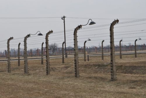 Fotografia de sawen king - Galeria Fotografica: auschwitz-birkenau (polonia) - Foto: 
