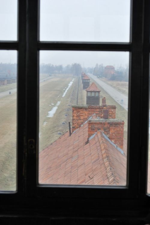 Fotografia de sawen king - Galeria Fotografica: auschwitz-birkenau (polonia) - Foto: 