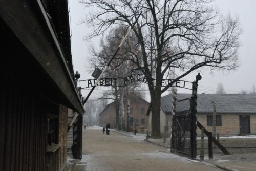 Fotografia de sawen king - Galeria Fotografica: auschwitz-birkenau (polonia) - Foto: 