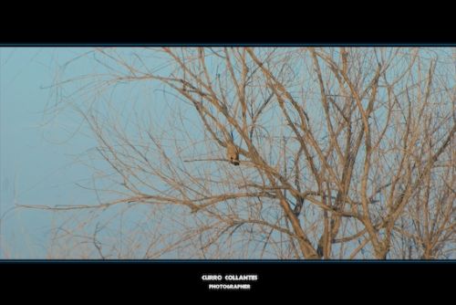 Fotografia de La Oveja Enamorada - Galeria Fotografica: Naturaleza 2009 - Foto: 