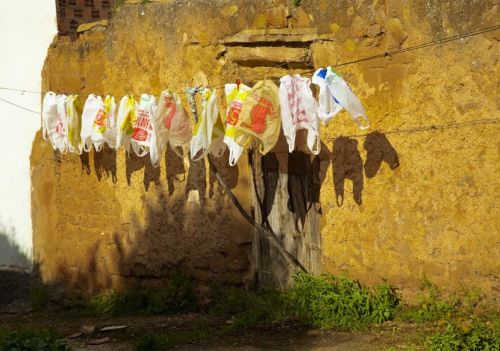 Fotografia de Enigma Fotografa - Galeria Fotografica: autor - Foto: 