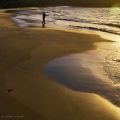 Foto de  stefan - Galería: luz del sur - Fotografía: golden morning fisher