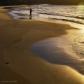 Fotos de stefan -  Foto: luz del sur - golden morning fisher