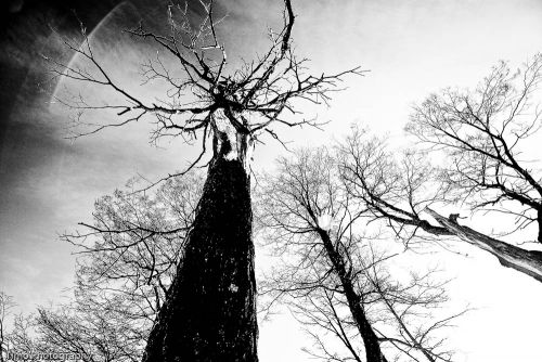 Fotografia de Tomas Gorostiaga Photography - Galeria Fotografica: Surf Brasil - Foto: Ushuaia Argentina