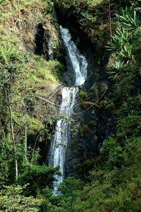 Fotografia de CARLOS LORA Jr - Galeria Fotografica: Naturaleza colombiana - Foto: 