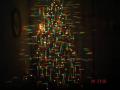 Foto de  Kyanna - Galería: Pequeos detalles - Fotografía: Luces de Navidad