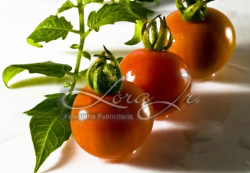 Fotografia de CARLOS LORA Jr - Galeria Fotografica: ALIMENTOS - Foto: 