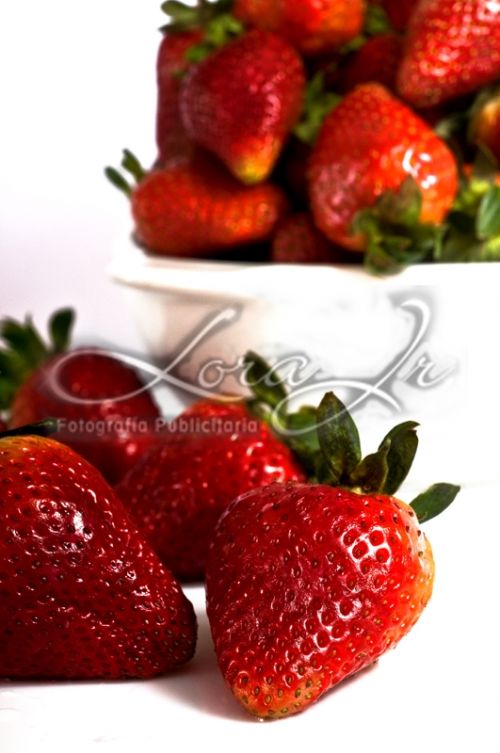 Fotografia de CARLOS LORA Jr - Galeria Fotografica: ALIMENTOS - Foto: 