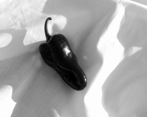 Fotografia de Cervantes - Galeria Fotografica: ME - Foto: 