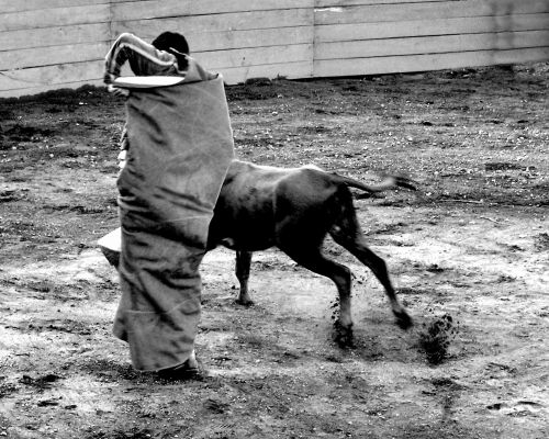 Fotografia de Cervantes - Galeria Fotografica: ME - Foto: 