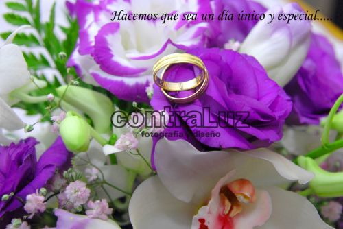 Fotografia de CONTRALUZ FOTOGRAFIA Y DISE�O - Galeria Fotografica: REPORTAJE DE BODA - Foto: 