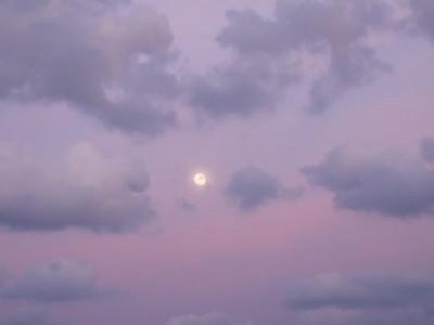 Fotografia de adventum - Galeria Fotografica: Fotos varias - Foto: 