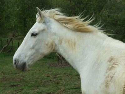 Fotografia de adventum - Galeria Fotografica: Fotos varias - Foto: 