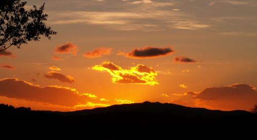 Fotografia de alegria - Galeria Fotografica: PAISAJES - Foto: un momento de paz
