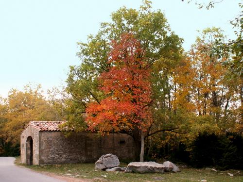 Fotografia de alegria - Galeria Fotografica: PAISAJES - Foto: RUPIT 1