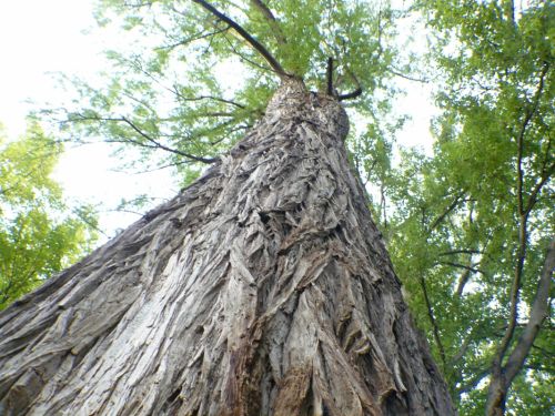 Fotografia de unisol - Galeria Fotografica: hea - Foto: hea