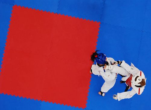 Fotografia de Francesc Dur - Galeria Fotografica: Campeonato Universitario de Taekwondo - Foto: 