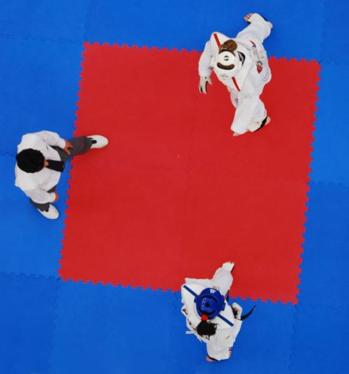 Fotografia de Francesc Dur - Galeria Fotografica: Campeonato Universitario de Taekwondo - Foto: 