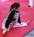Fotos de Francesc Dur -  Foto: Campeonato Universitario de Taekwondo - 