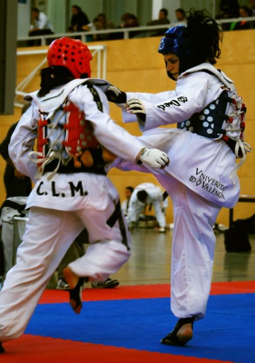 Fotografia de Francesc Dur - Galeria Fotografica: Campeonato Universitario de Taekwondo - Foto: 