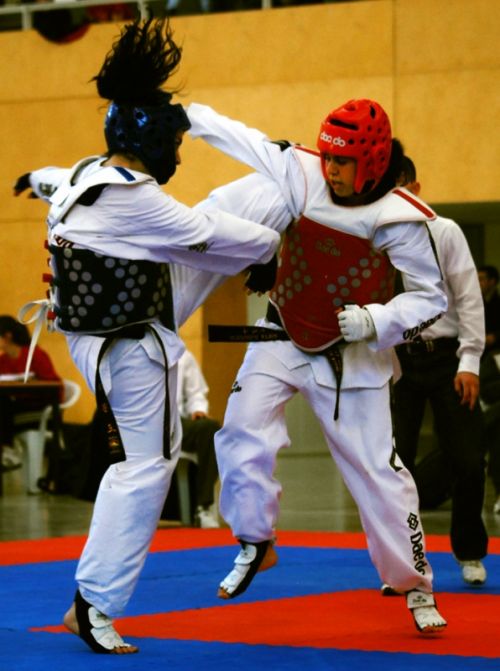 Fotografia de Francesc Dur - Galeria Fotografica: Campeonato Universitario de Taekwondo - Foto: 