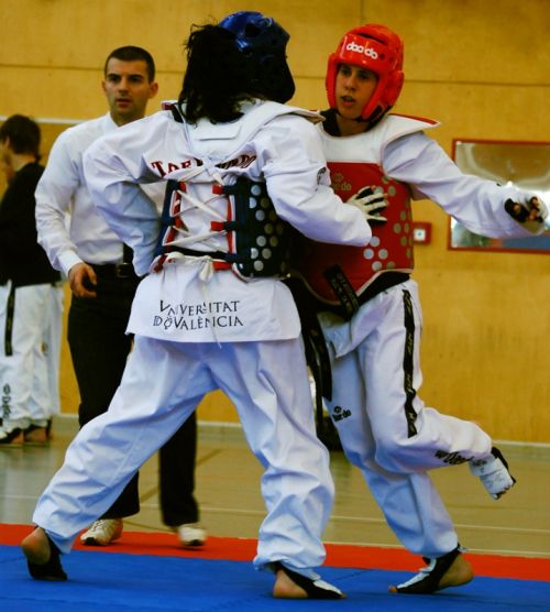 Fotografia de Francesc Dur - Galeria Fotografica: Campeonato Universitario de Taekwondo - Foto: 