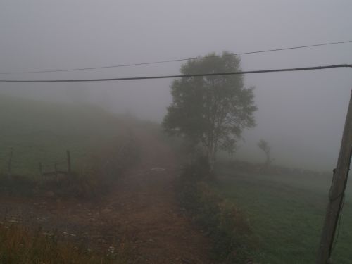 Fotografia de javitgna - Galeria Fotografica: Paisje - Foto: Lugo