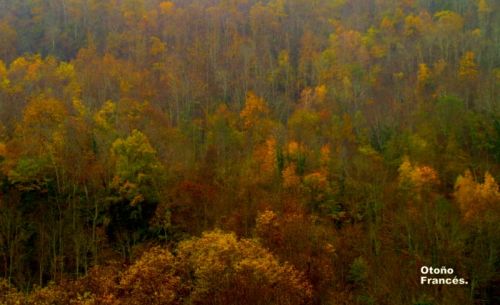 Fotografia de javitgna - Galeria Fotografica: Paisje - Foto: Occetense francs