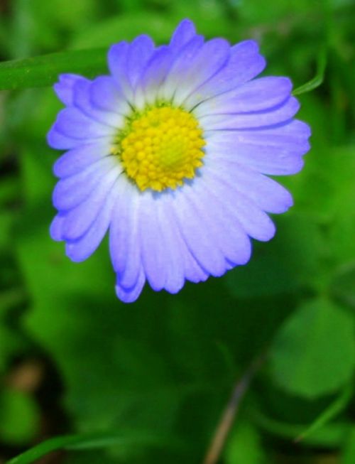 Fotografia de javitgna - Galeria Fotografica: Paisje - Foto: Menorca, Invierno