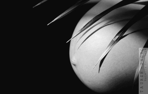 Fotografia de TAURZH PHOTO - Natalia Martnez - Galeria Fotografica: GALERIA 1 - Foto: 