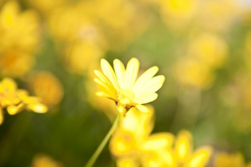 Fotografia de En otras palabras - Galeria Fotografica: Salida Fotogrfica - Foto: 