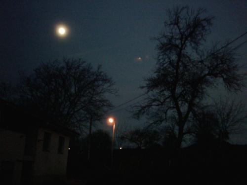 Fotografia de cuelebre - Galeria Fotografica: noches - Foto: 