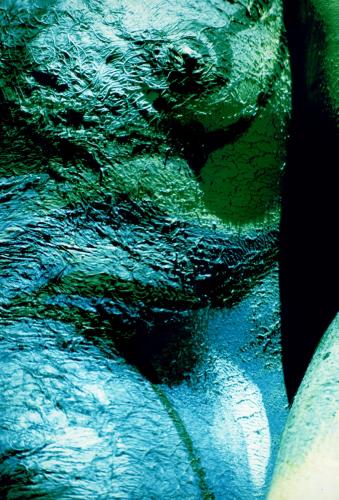 Fotografia de Regalhadas - Galeria Fotografica: El cuerpo - Foto: Herida