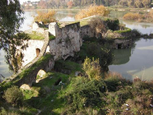 Fotografia de Enrica - Galeria Fotografica: mi camino de todos los dias - Foto: salir de casa