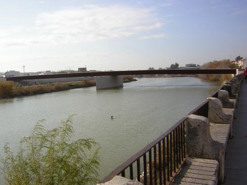 Fotografia de Enrica - Galeria Fotografica: mi camino de todos los dias - Foto: voy tarde