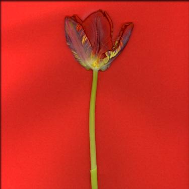 Fotografia de MAMEN MARI FOTOGRAFA - Galeria Fotografica: TEXTURAS - Foto: 