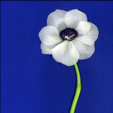 Fotografia de MAMEN MARI FOTOGRAFA - Galeria Fotografica: TEXTURAS - Foto: 