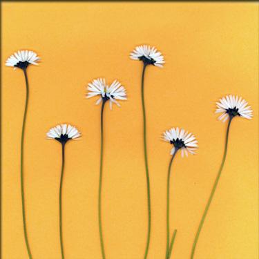 Fotografia de MAMEN MARI FOTOGRAFA - Galeria Fotografica: TEXTURAS - Foto: 