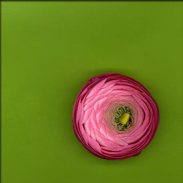 Fotografia de MAMEN MARI FOTOGRAFA - Galeria Fotografica: TEXTURAS - Foto: 