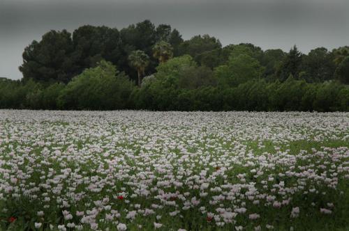 Fotografia de Curro Petit - Galeria Fotografica: Paisasjes - Foto: 