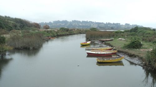 Fotografia de andres - Galeria Fotografica: vida - Foto: 