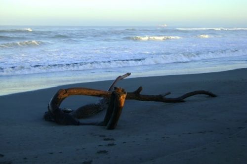 Fotografia de andres - Galeria Fotografica: vida - Foto: 