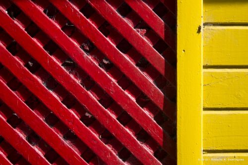 Fotografia de Rod Baires - Galeria Fotografica: Color - Foto: Color en Caminito